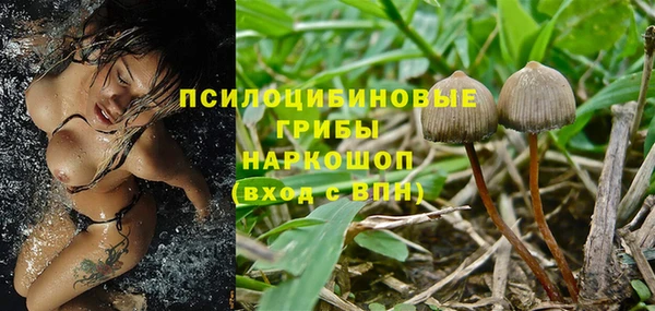 меф Майский