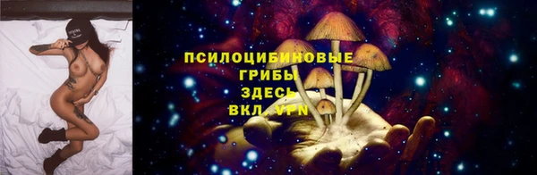 бутират Медногорск