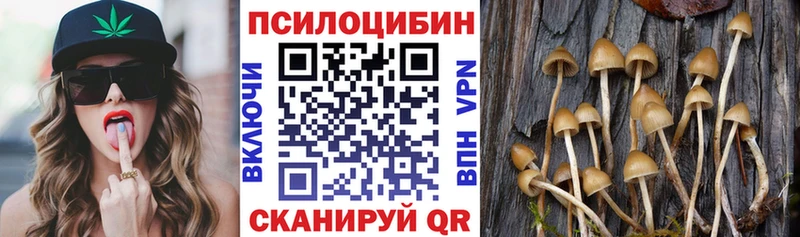 Галлюциногенные грибы мицелий  Ессентукская 